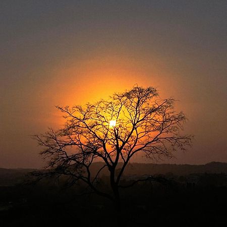 Gir Birding Lodge Sasan Gir Zewnętrze zdjęcie