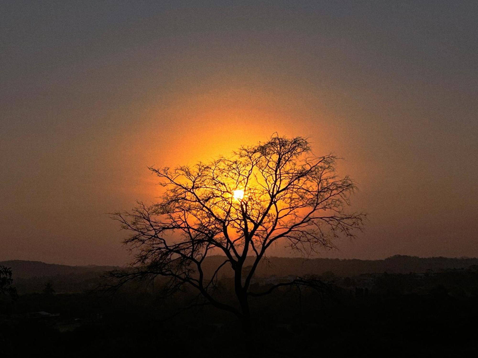 Gir Birding Lodge Sasan Gir Zewnętrze zdjęcie